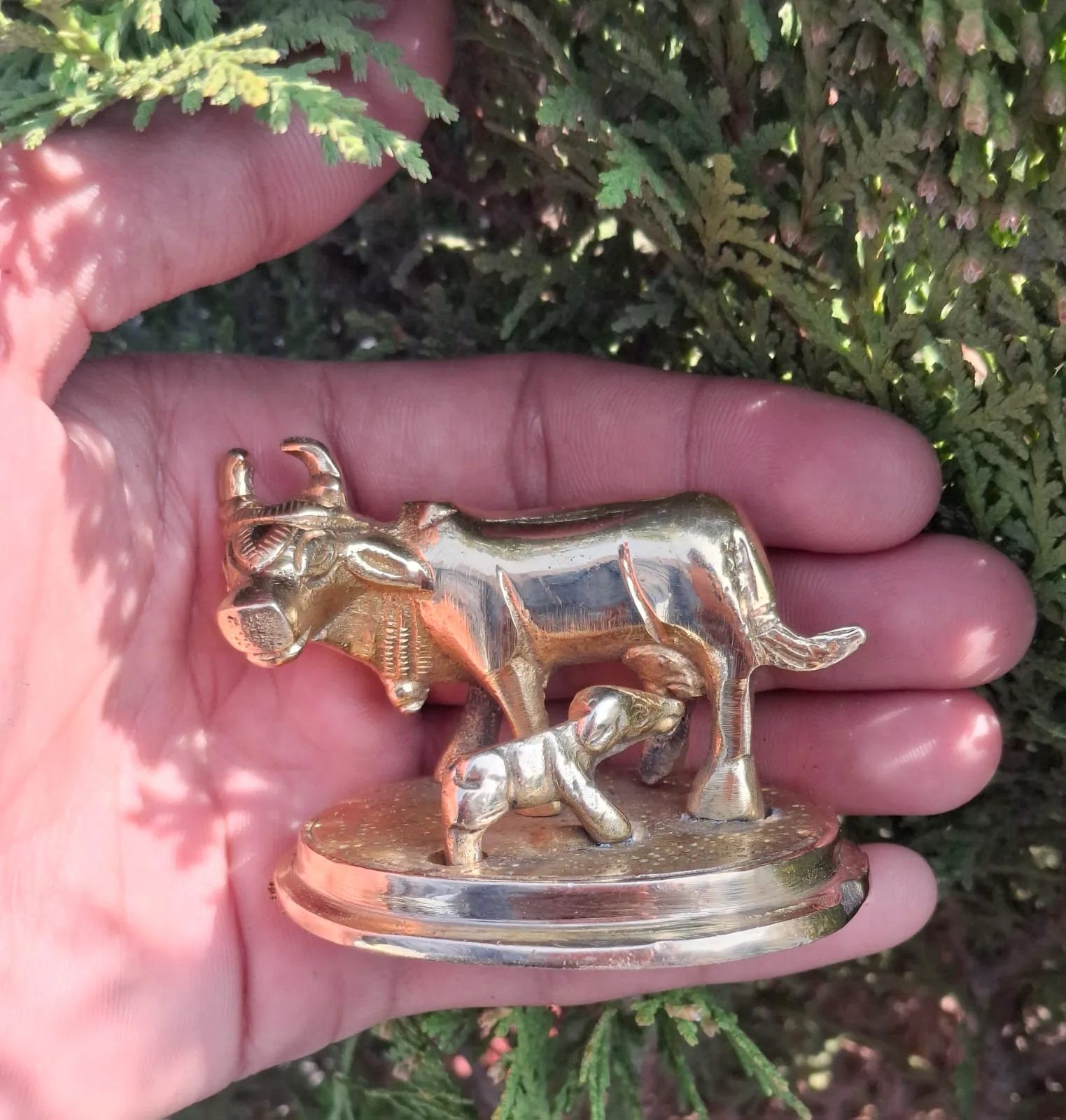 Best Quality Pure Brass Kamadhenu Cow and Calf Idol